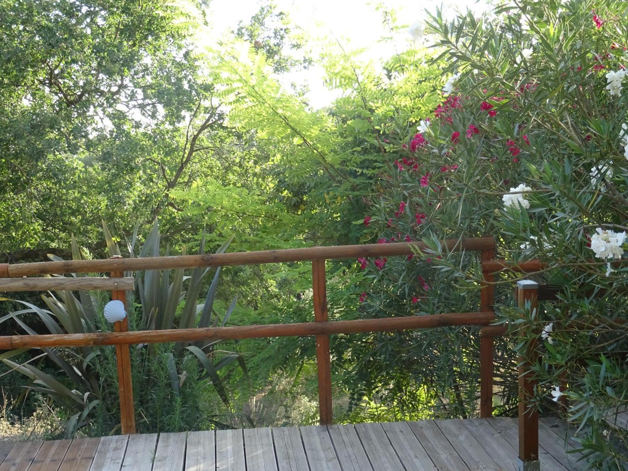 Les Ecrins D'Aix-En-Provence Villa Kültér fotó