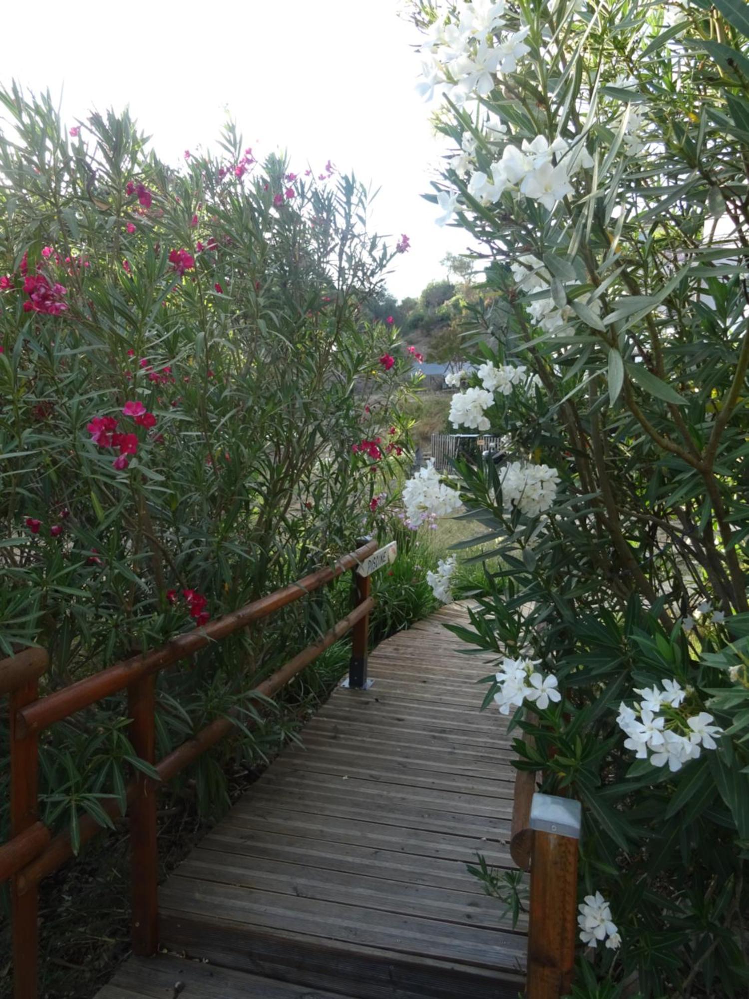 Les Ecrins D'Aix-En-Provence Villa Kültér fotó