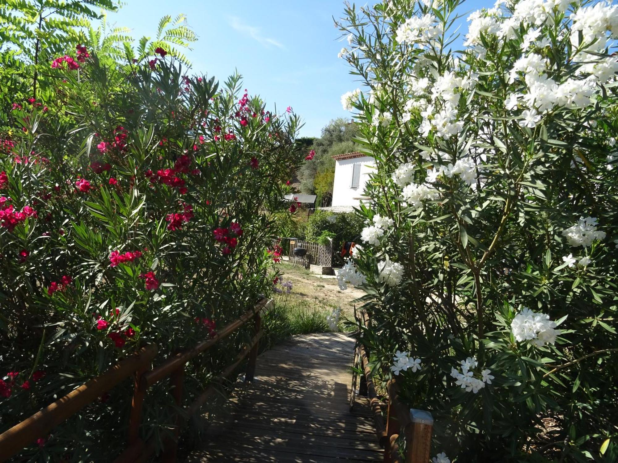 Les Ecrins D'Aix-En-Provence Villa Kültér fotó